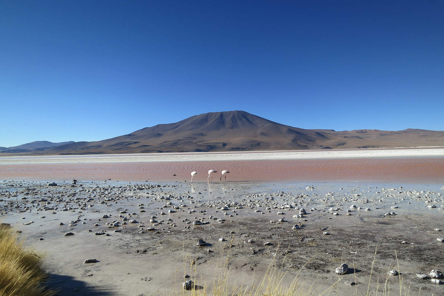 Atacama6