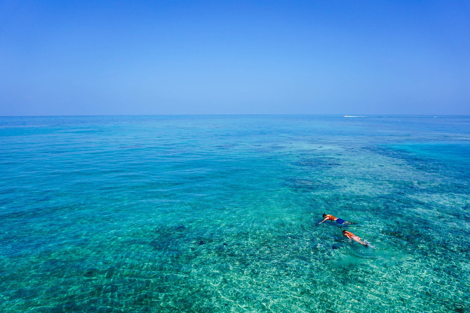 snorkeling 1