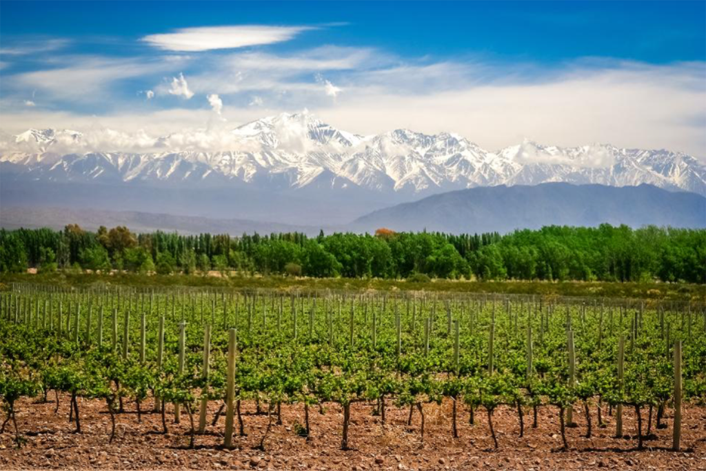 mendoza-from-usa