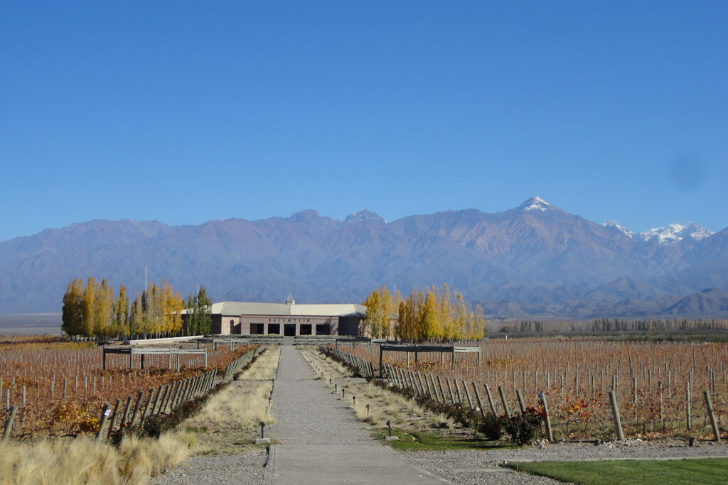 mendoza-wine-time to visit