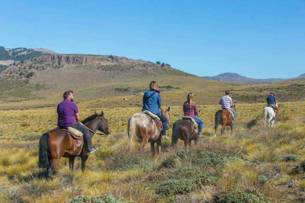 Horseback Riding1