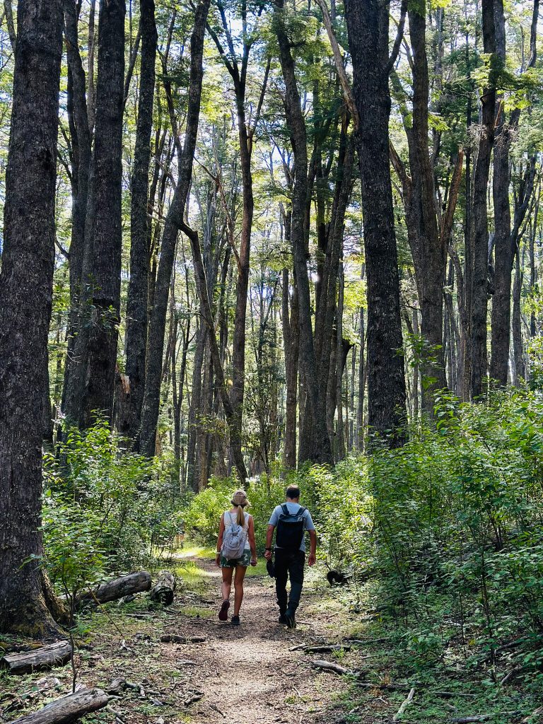 Trekking2